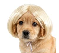 Perruque pour Chat Costume canin à Franges Ajustables Style Humain | Accessoire de Tête Halloween pour Chien pour Petites Moyennes Grandes Races, Fêtes, Vacances, Accessoires Photo, Port et