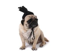 Perruque pour Chien avec Coupe Afro Perruque pour Chien avec Tresses Ajustables Accessoires Amusants pour Animaux de Compagnie Accessoires de Déguisement Halloween Fête pour Chats et Chiens