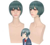 Perruque pour je suis trop populaire, que dois-je faire avec la deuxième branche Zhima cosplay perruque