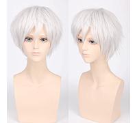 Perruque pour mariage, tir, défilé, interview cos, perruque juvénile, déformée à l'envers, cheveux courts, couleur universelle pour homme, cosplay, perruque d'anime, couleur : Pl-002-1#blanc argenté