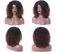 Perruque Résistante à La Chaleur Perruques De Cheveux Bouclés Afro Synthétiques Perruques Courtes Bouclées, Perruque Courte Bouclée En Fibre Résistante À La Chaleur for La Fête Halloween Cosplay Perru