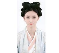 Perruque synthétique Chinois Ancien Hanfu Coiffe Chignon Ancien Femmes Chinoises Cosplay Perruques Accessoires