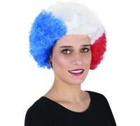 Perruque tricolore adulte G