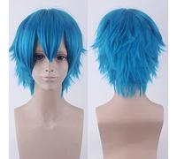 Perruque universelle pour Halloween, fête de Noël, 30 cm, anti-frisage, cheveux courts, multicolore au choix, style poilu couleur : 002-53