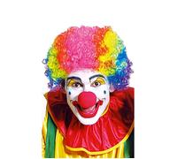 Perruque carnaval : perruque Clown multicolore 0 G