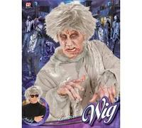 Perruque zombie homme Halloween argent G