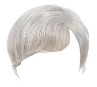 Perruques courtes en fibres synthétiques pour hommes postiche gris argenté couvre-chef pour un usage quotidien coiffure rapide hommes postiche