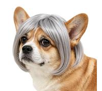Perruques de chien Franges Ajustables Drôles Humaines