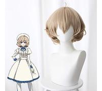 Perruques de Cosplay d'inférence inventées de bande dessinée d'anime Kotoko Iwanaga perruque de Cosplay perruque synthétique résistante à la chaleur cheveux courts bruns bouclés