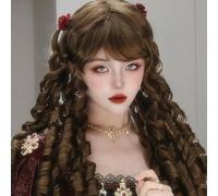 Perruques Luxueuses À Longues Boucles En Spirale Pour Femmes 60cm Perruque Rétro Élégante Perruque Cosplay Lolita Court Pour La Fête D'halloween Tenue Quotidienne (Brown)