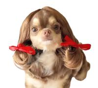 Perruques pour animaux de compagnie, couvre-tête de chat, chats et chiens, couvre-chefs amusants, chapeaux pour animaux de compagnie, accessoires