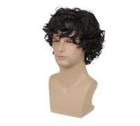 Perruques synthétiques bou s, courtes et volumineuses for hommes, style rocker, for déguisement d'Halloween ou cosplay. Hairline Fine(Black)