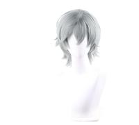 Perruques synthétiques Perruque Cosplay Costume, Perruques de cosplay en cheveux synthétiques for homme, perruque courte grise de 35 cm, résistante à la chaleur