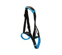 PERSELOSO Harnais Auxiliaire pour Chien avec Faiblesse des Pattes Arrière Ceinture de Soutien Respirante Mesh S Bleu Accessoires pour Escalier et Déplacement