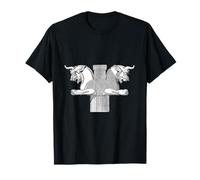 Persepolis, Takht-e-Jamshid, histoire persane T-Shirt