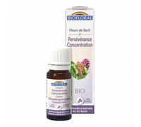 Persévérance - fleurs de bach