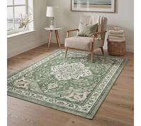 Persian Style Rug 120x170cm Vintage Style Persan Non-Slip Washable Carpet for Living Room and Bedroom Jade Bloom