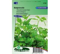 Persil commun 2 graines - Jardin d'herbes aromatiques - Env. 3 gr | SG2150