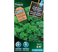 Persil Frisé Double Robust- Protecta Graines paysanne