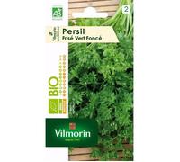 Persil frise vert fonce bio Vilmorin