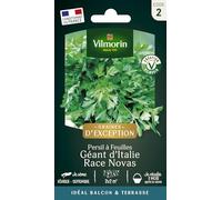 Vilmorin – Graines de persil Gigante d'Italia (Géant d'Italie) – race Novas – Graines d'Exception