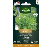 Persil Lion - Graines d'Exception