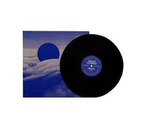 Persistance et changement Vinyle