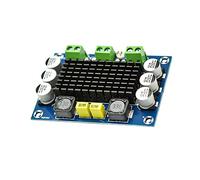 Persistence 100W TPA3116D2 Carte Amplificateur Mono Classe DC 12V-26V Amplificateur de Puissance Audio Numérique Carte Son AMP