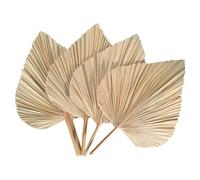 Persistence 4 PièCes Feuilles de Palmier SéChéEs éVentails de Palmiers SéChéS BohèMe Lances de Palmier SéChéEs Plantes Artificielles Feuilles de Palmier Feuilles de Palmier Tropicales