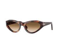 Persol Femme Persol PO0052S 24/51 Lunettes de soleil Acétate Tortue Marron Papillon Normale Ombré