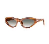 Persol Femme Persol PO0052S 960/3A Lunettes de soleil Acétate Tortue Verde Papillon Normale Ombré