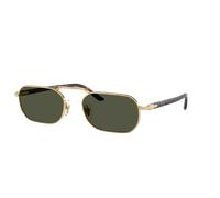 Persol Unisex Sunglass PO1020S - Couleur du Monture: Or, Couleur de Lentille: Vert