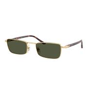 Persol Unisex Sunglass PO1025S - Couleur du Monture: Or, Couleur de Lentille: Vert