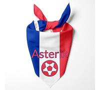 PersonaliseDog - Bandanas pour chien - personnalisable