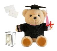 Personalized Graduation Bear, Graduation Bear Custom-Made Name and School Logo, Graduation Gifts, Comes with Gift Box and Greeting Card (Pink)