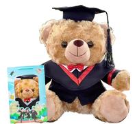 Personalized Graduation Teddy Bear, Graduation Bear 2025 with Gift Box - for Girls & Boys Graduation Bear, Suitable for High School, College Classmates to Commemorate (brownD)