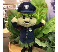 Personnage De Costume De Mascotte Redbrokoly De Feuille De Chou Bleu Marine Habillé D'un Pantalon Chino Et De Bérets Multicolore