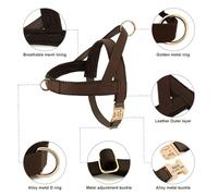 Personnalisé Anti-perdant sans Traction Hremptable Nylon Chien De Marche du Harnais D'entraînement pour Le Labrador Bulldog Bulldog Allemand Berger,Bleu,XS