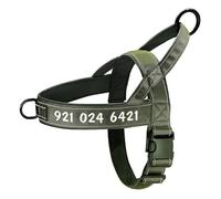 Personnalisé Anti-perdost Reflective Reflective Nylon Dog Training Gift pour Les Chiens Moyens Et Grands Chiens Allemand Labrador,Vert,L