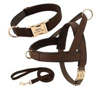 Personnalisé Anti-perdost Réglable Breathable Nylon Dog Training Collar Harness Lash Set pour Bulldog Labrador Allemand Shepherd,Brun,S