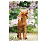 Personnalités canines, Version française (Calendrier mural 2026 DIN A3 portrait), Calendrier CALVENDO mensuel