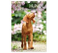 Personnalités canines, Version française (Calendrier mural 2026 DIN A4 portrait), Calendrier CALVENDO mensuel