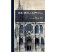 Perspectiva Practica