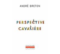 Perspective cavalière