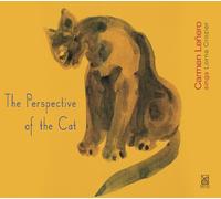 Perspective of The Cat