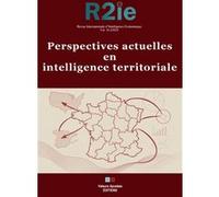Perspectives actuelles en intelligence territoriale: Revue Internationale d'Intelligence Économique 16-2