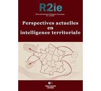 Perspectives actuelles en intelligence territoriale Revue Internationale d'Intelligence Économique 16-2 - Christian Marcon - VA Press - broché - Revue