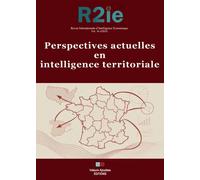 Perspectives Actuelles En Intelligence Territoriale - Revue Internationale D'intelligence Économique 16-2