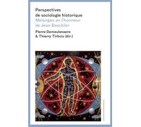 Perspectives De Sociologie Historique - Mélanges En L'honneur De Jean Baechler