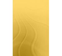 Perspectives On Early Islamic Mysticism